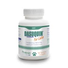 Protexin Dasuquin cat joints (60 caps)