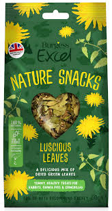 Burgess Excel Luscious Leaves (60g)