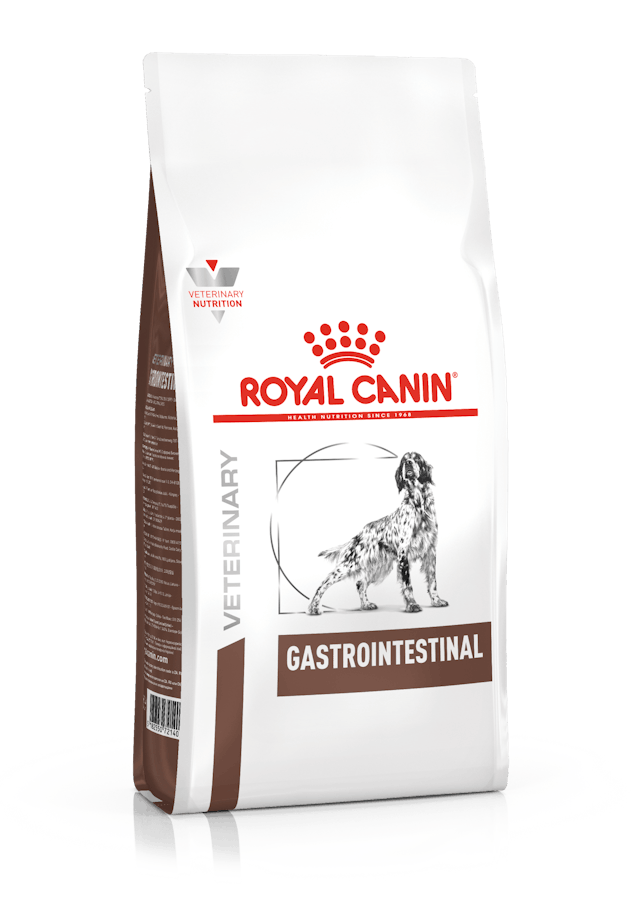 RCW Royal Canin Canine Gastro Intestinal Dry 15kg