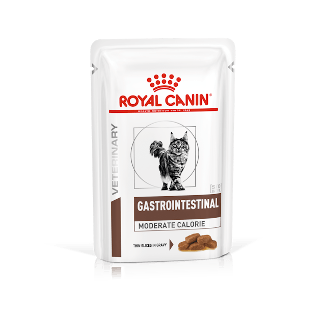 Royal Canin RCW Gastro Intestinal Mod Cal Feline 48 x 100g