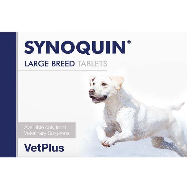 Synoquin puppy store