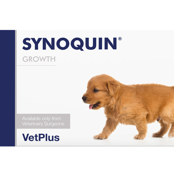 Synoquin store medium dog